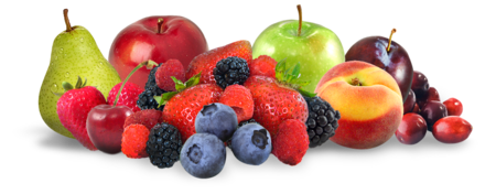 Sioux Falls Fresh Fruit Program